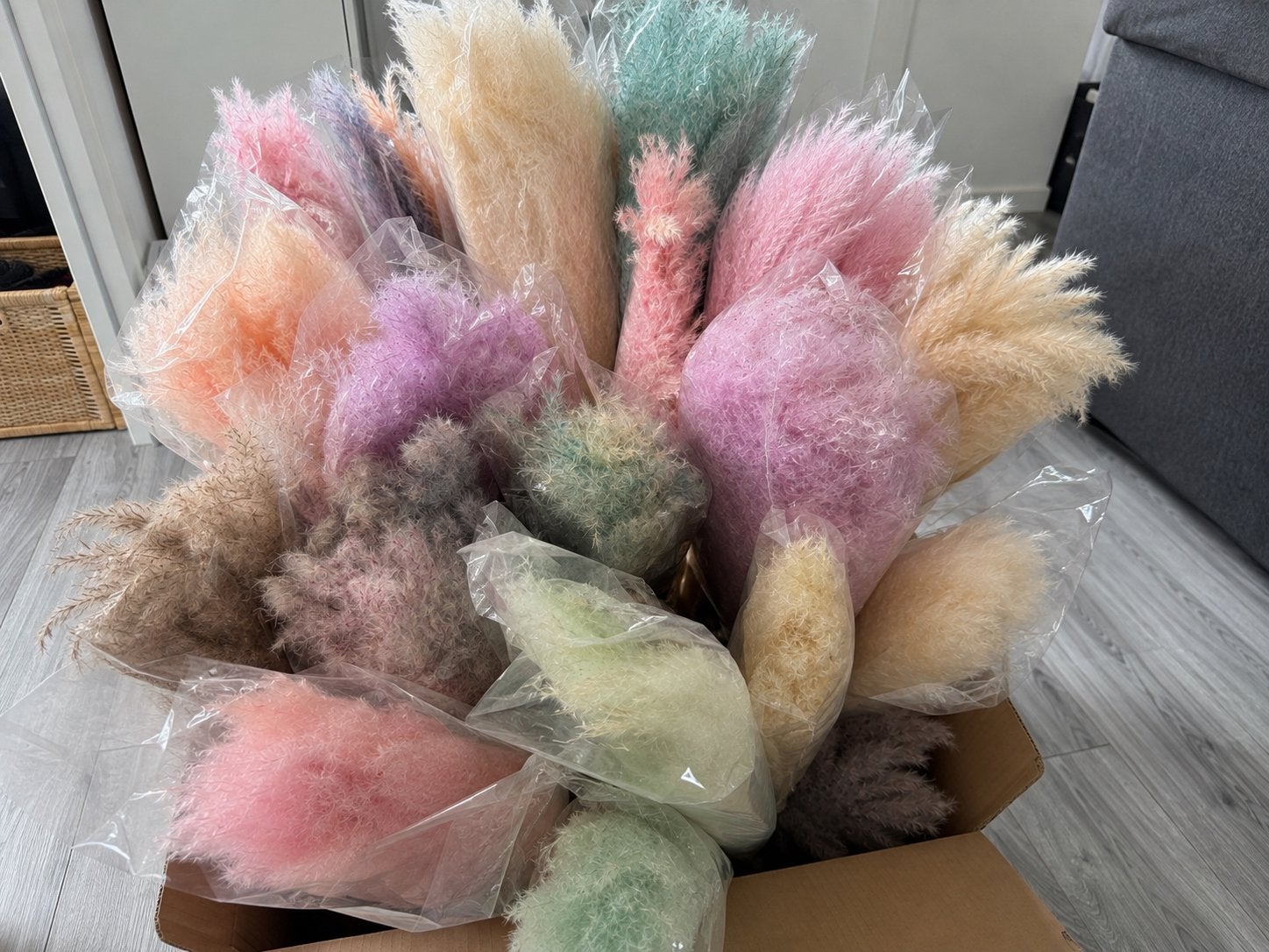 Grote partij Pampasgras droogbloemen in diverse kleuren, Huis en Inrichting, Woonaccessoires | Droogbloemen, Ophalen, Nieuw