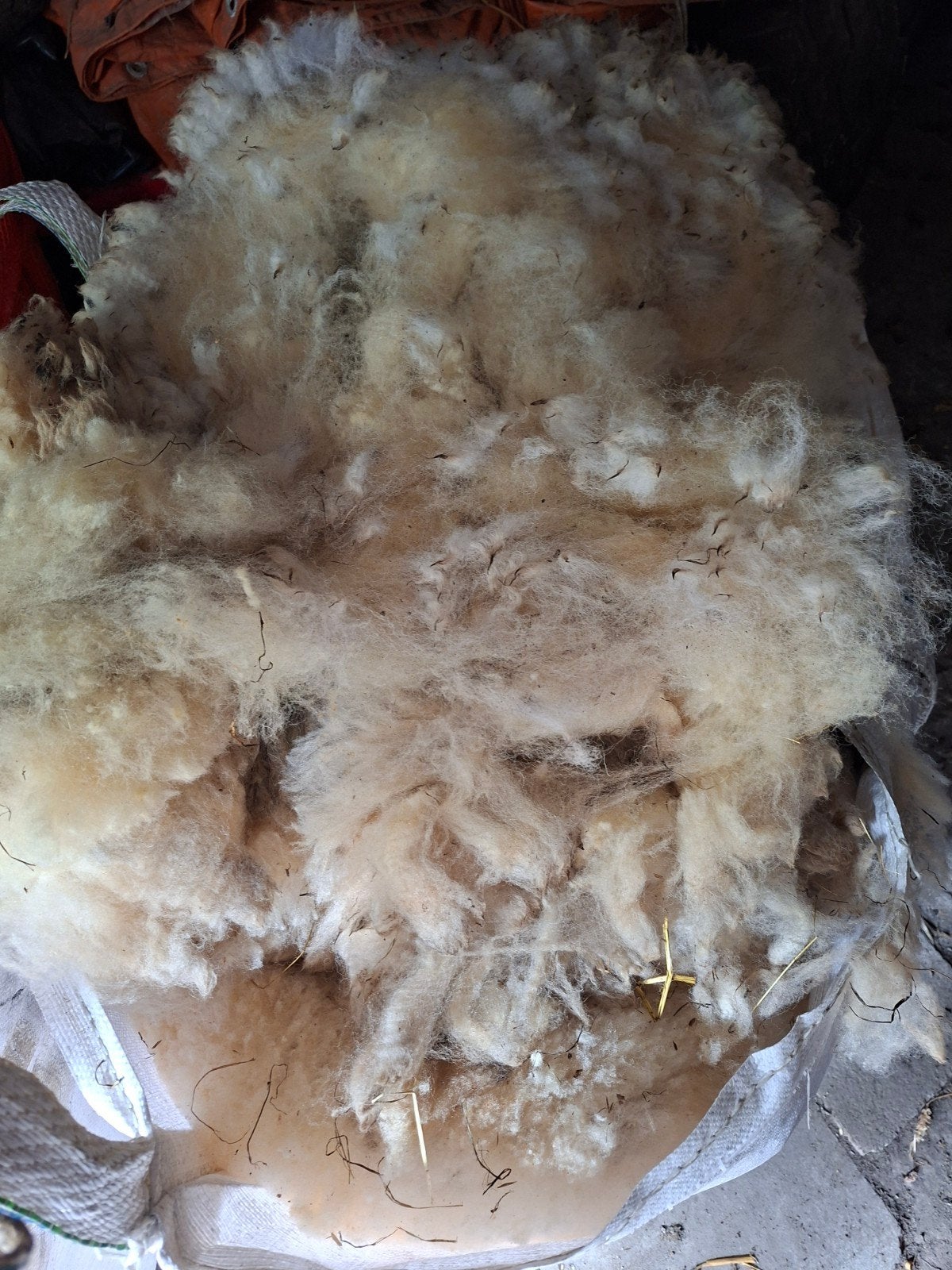Schapenwol, Hobby en Vrije tijd, Spinnewielen en Spinnen, Ophalen, Spinwol