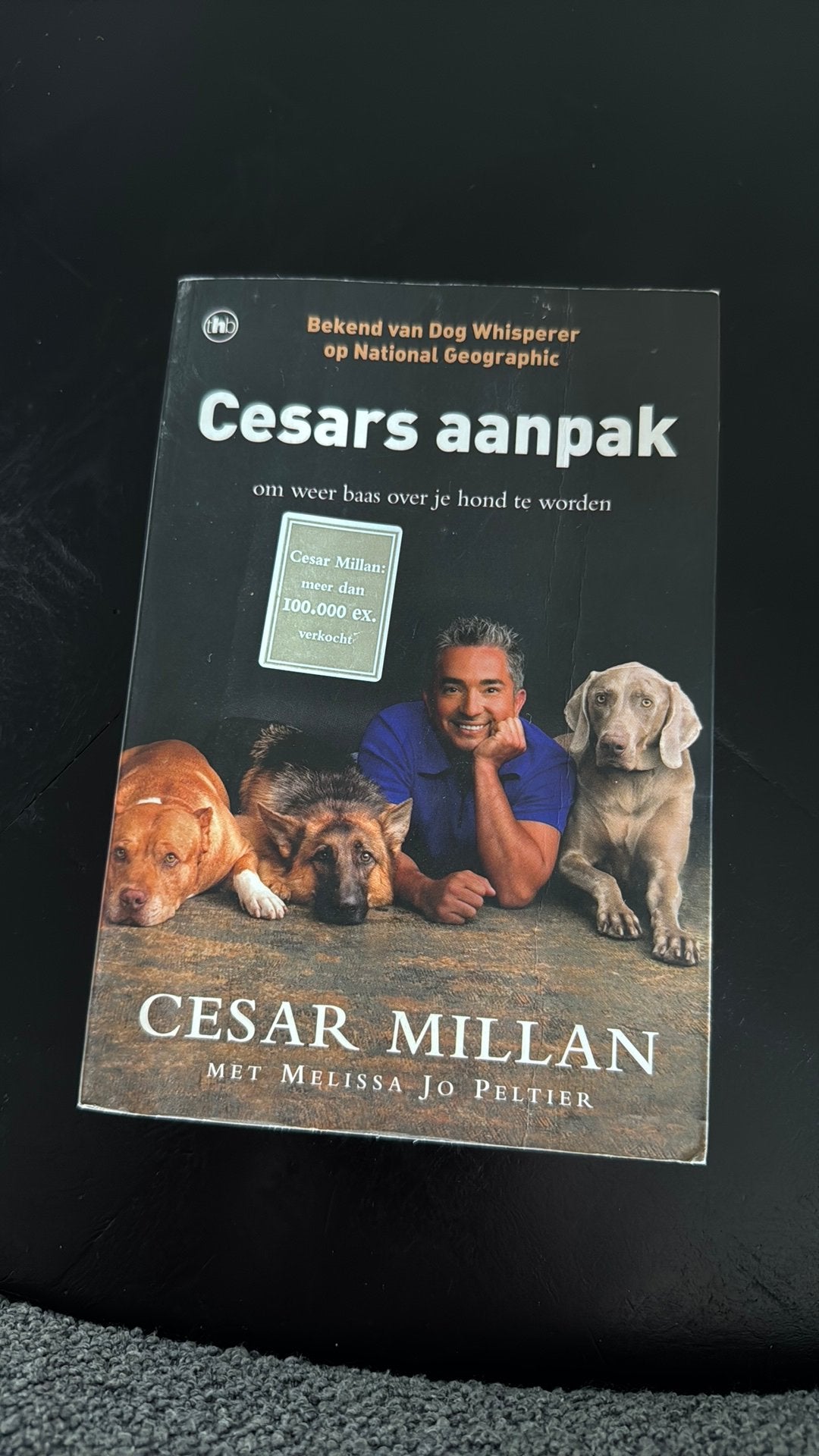 Cesar Millan - Cesars aanpak, Boeken, Dieren en Huisdieren, Zo goed als nieuw, Honden, Ophalen of Verzenden