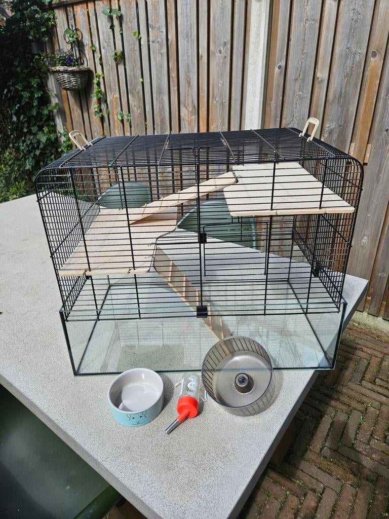 Hamster hok, Dieren en Toebehoren, Knaagdieren en Konijnen | Hokken en Kooien, Gebruikt, Minder dan 75 cm, Ophalen, Minder dan 60 cm