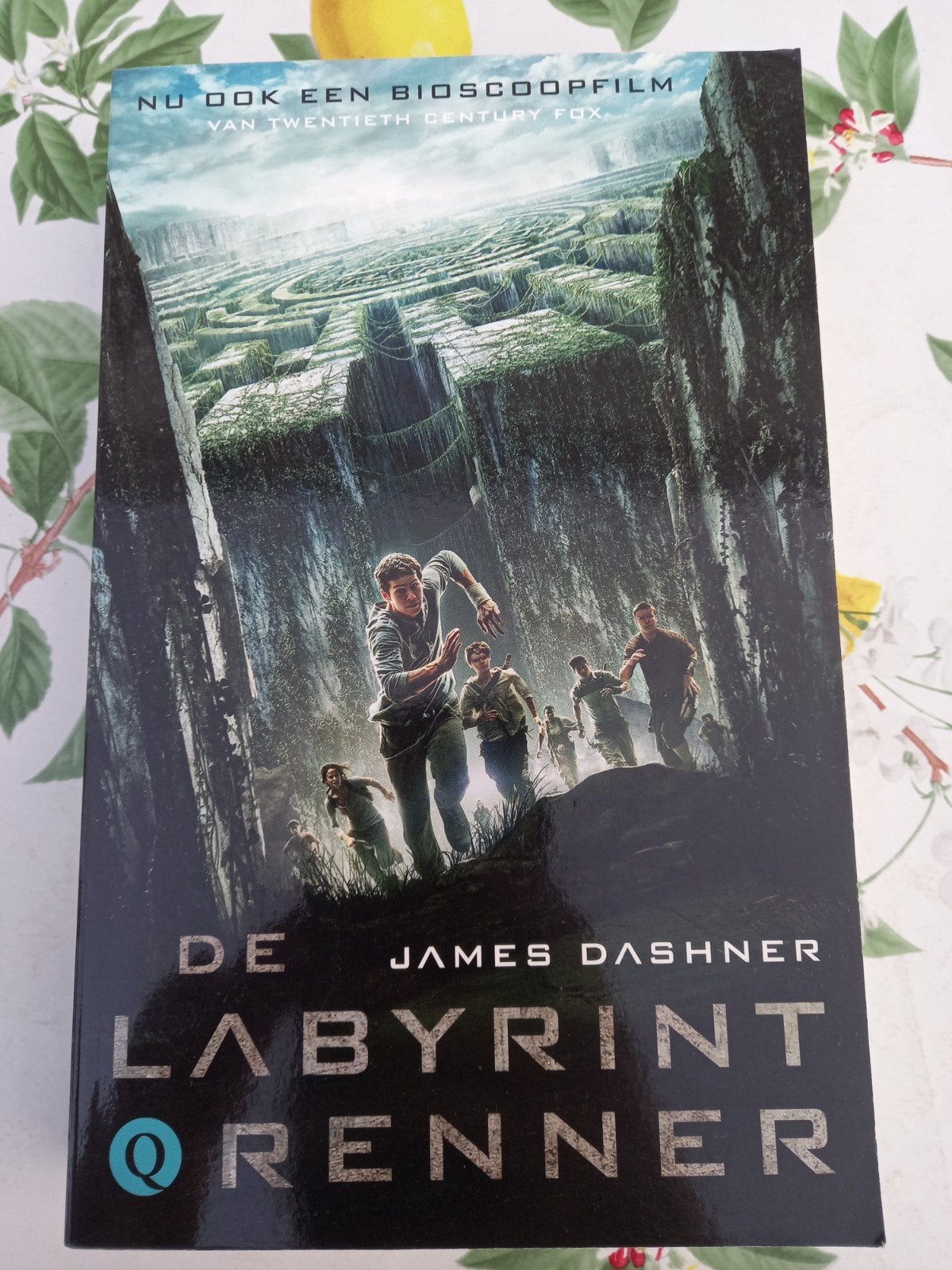 D James Dashner - De labyrintrenner, Ophalen of Verzenden, Zo goed als nieuw, James Dashner