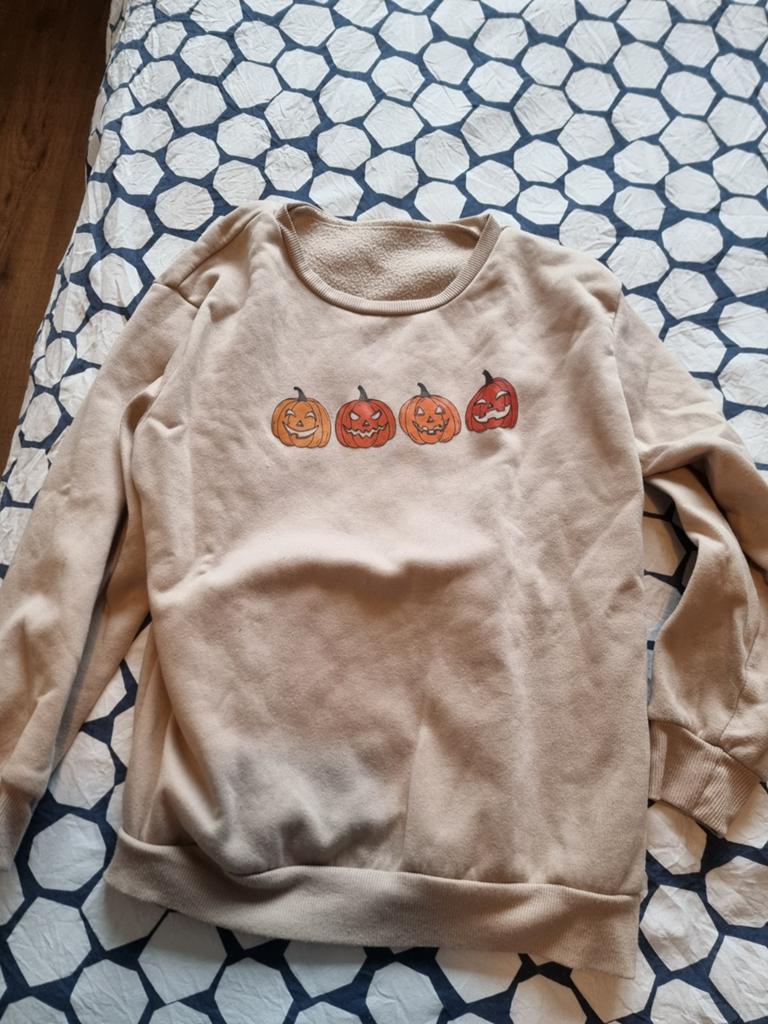 Beige Halloween Pompoen Trui, Maat 38/40 (M), Beige, Ophalen of Verzenden, Zo goed als nieuw