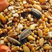 19kg Strooivoer voor Tuinvogels – Vogelvoer – € 22,50, Nieuw, Ophalen of Verzenden, 19kg strooivoer, Eten en Drinken
