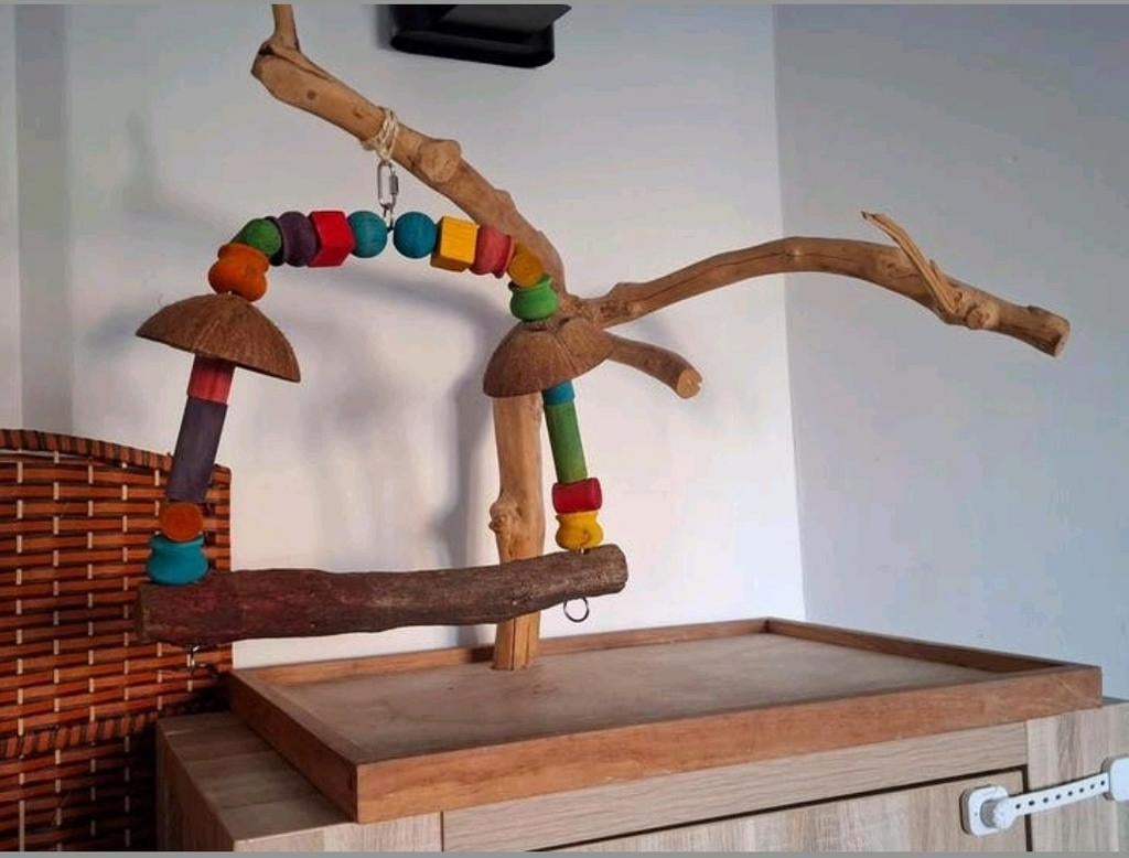 Speelboom javaboom papegaai, Dieren en Toebehoren, Ophalen