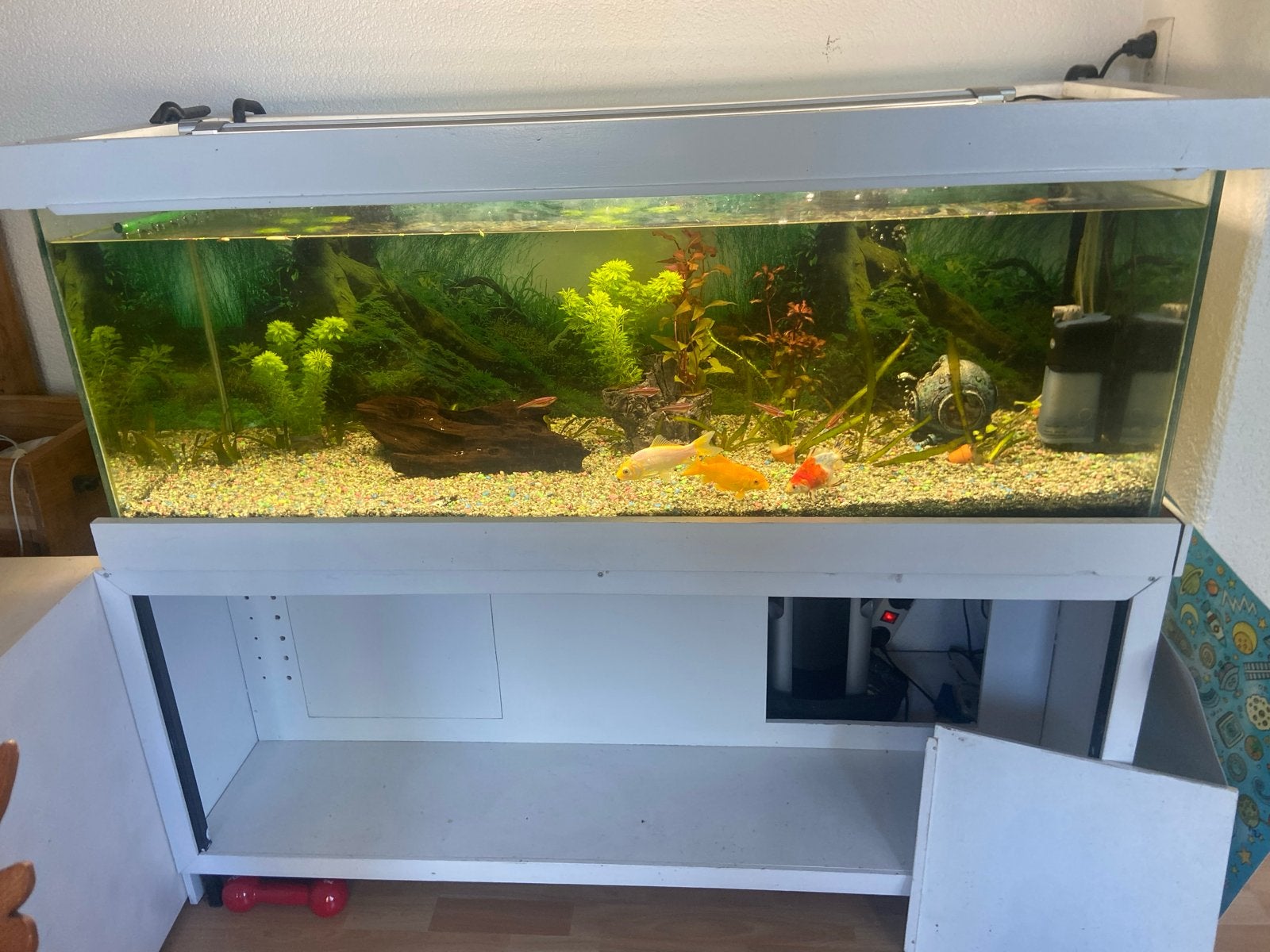 Groot Aquarium, Ophalen, Pomp, Gebruikt, Gevuld zoetwateraquarium