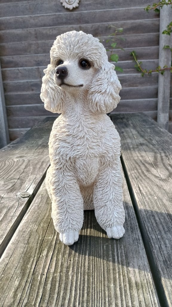 Beeld Poedel Hond - Tuinbeeld - Decoratie, Ophalen of Verzenden, Zo goed als nieuw, Dier