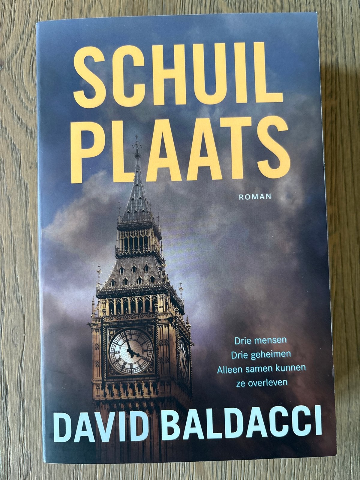 Schuilplaats - David Baldacci (Roman), Boeken, Ophalen of Verzenden, Gelezen, Nederland