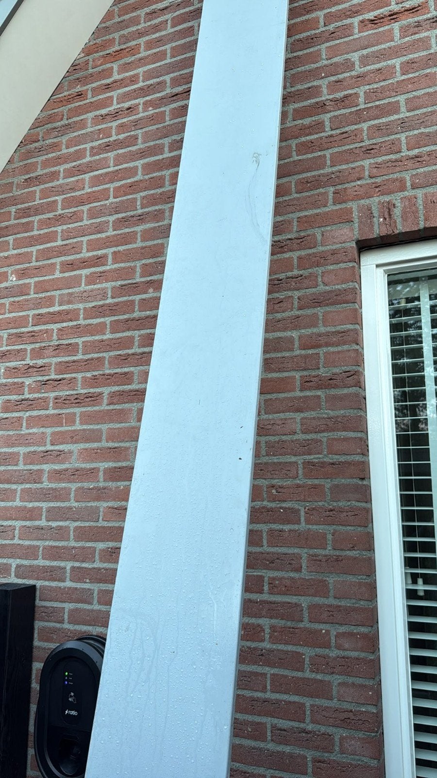 boeidelen Western red ceder 4170 x 287 nieuw, Doe-het-zelf en Verbouw, Ophalen, Minder dan 25 mm, Nieuw, Plank