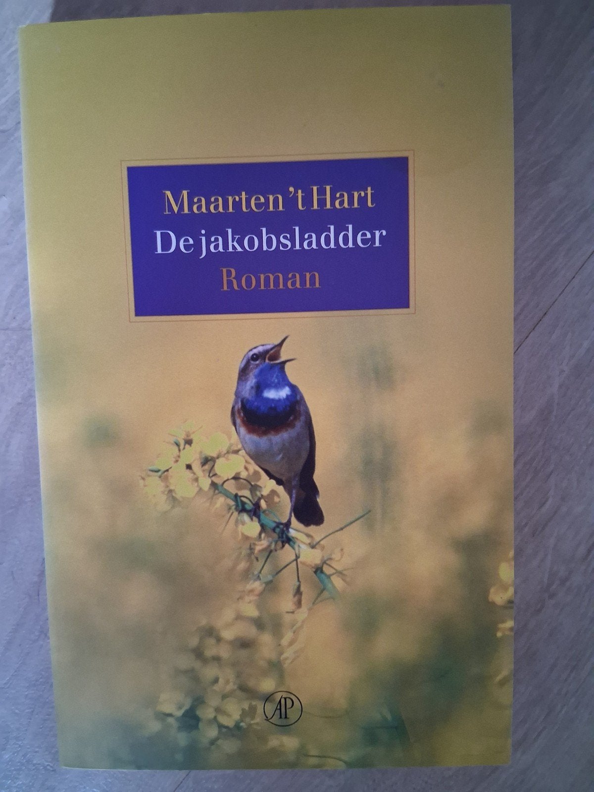 Maarten 't Hart - De Jacobsladder, Ophalen of Verzenden, Zo goed als nieuw, Maarten 't Hart