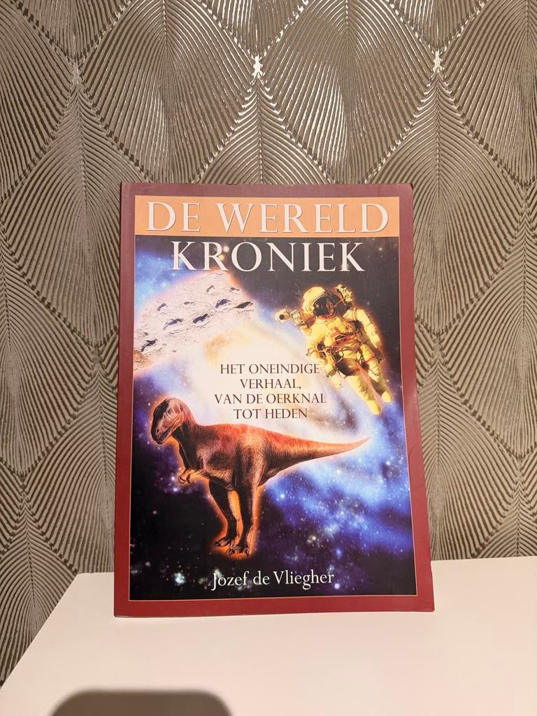 De Wereldkroniek: Het Oneindige Verhaal - Jozef de Vliegher, Boeken, Ophalen of Verzenden, 20e eeuw of later, Zo goed als nieuw