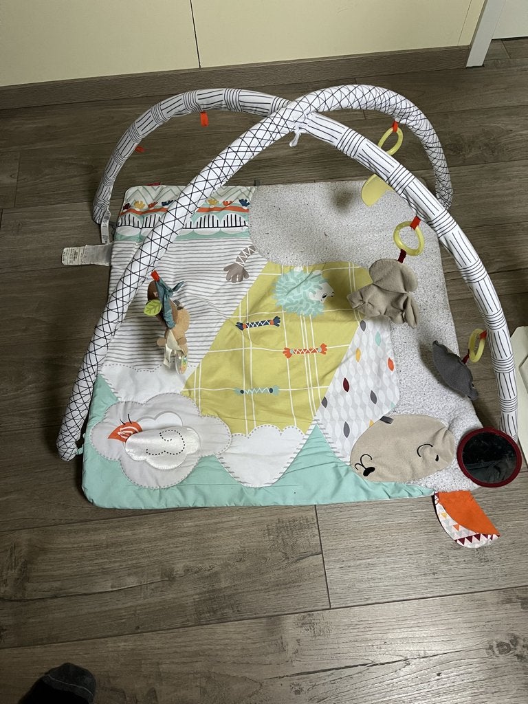 Fisher-Price babygym met speeltjes, Ophalen, Babygym, Met geluid