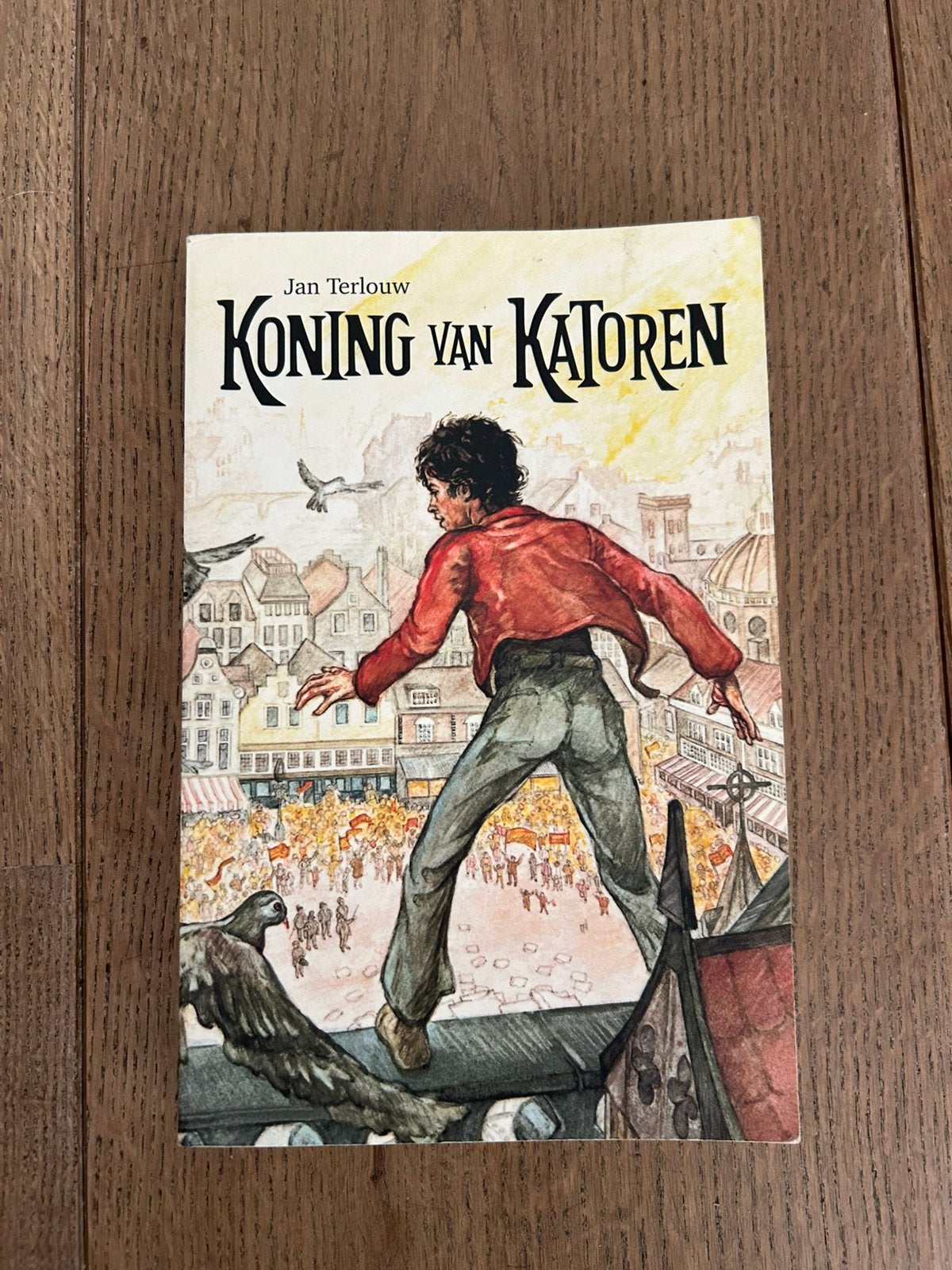 Koning van Katoren (Jan Terlouw), Ophalen, Gelezen, Fictie