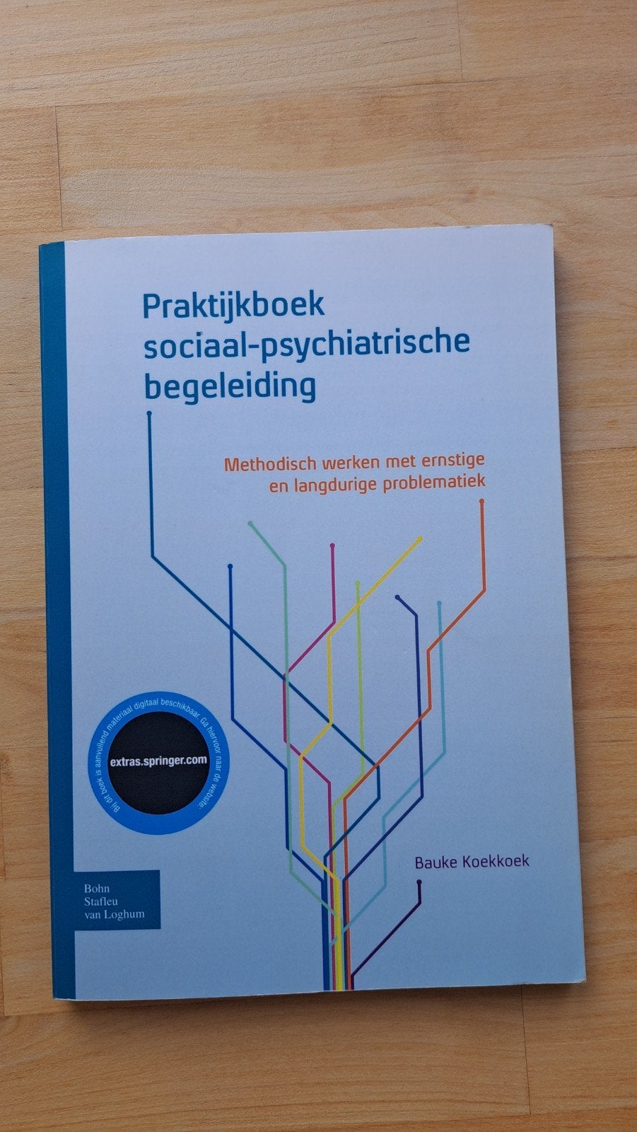 Praktijkboek sociaal-psychiatrische, Boeken, Studieboeken en Cursussen, Zo goed als nieuw, Bauke Koekkoek, Gamma, HBO
