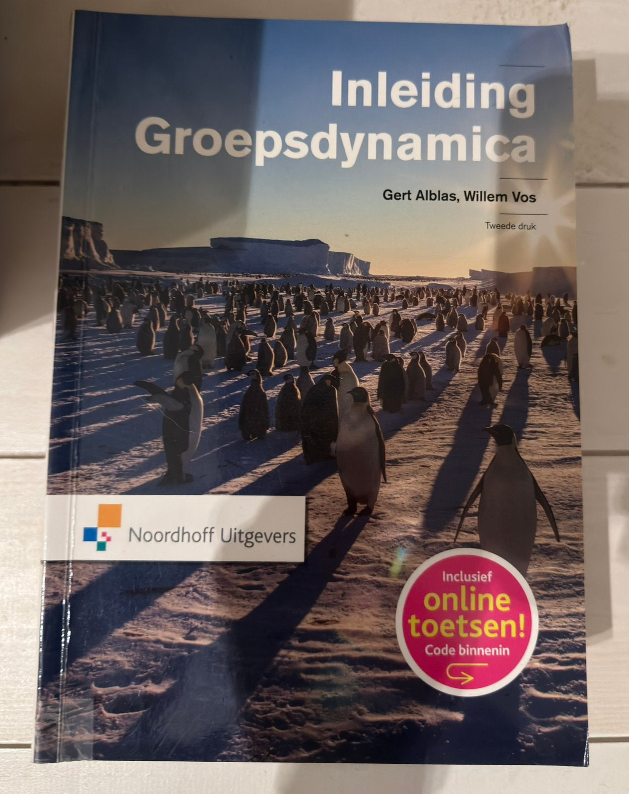 Inleiding groepsdynamica, Boeken, Studieboeken en Cursussen, Ophalen of Verzenden, Beta, Zo goed als nieuw, HBO