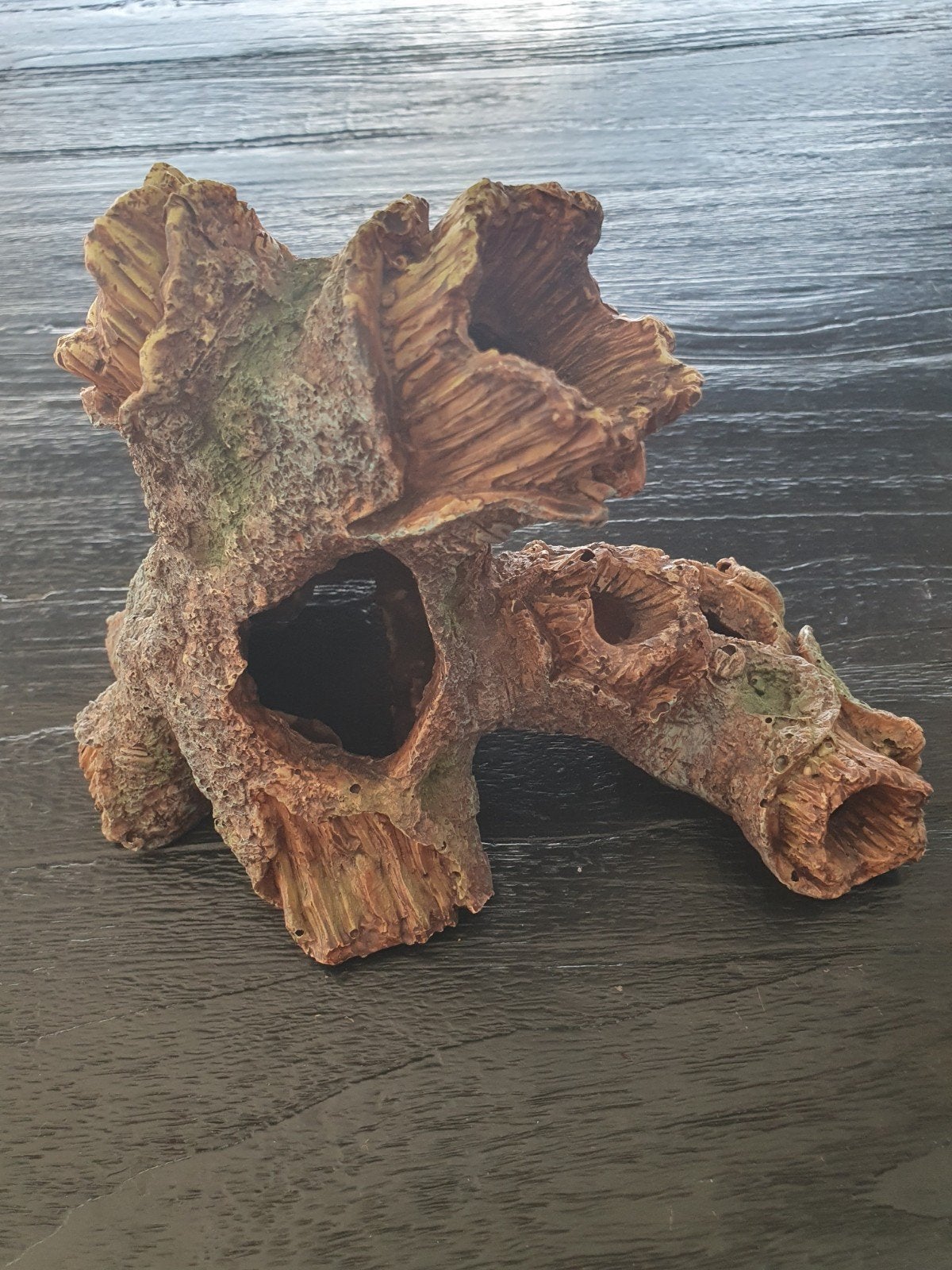 Diverse aquarium spullen, Ophalen, Plant(en), Steen of Hout