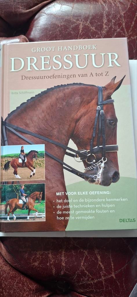 Groot Handboek Dressuur: Dressuuroefeningen van A tot Z, Boeken, Ophalen of Verzenden, Zo goed als nieuw, Britta Schöffmann, Overige sporten