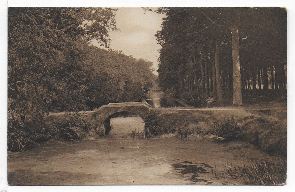 Bergen Binnen De Melkbrug Oude ongelopen ansichtkaart B905, Ophalen of Verzenden, 1960 tot 1980, Gelopen, Noord-Holland