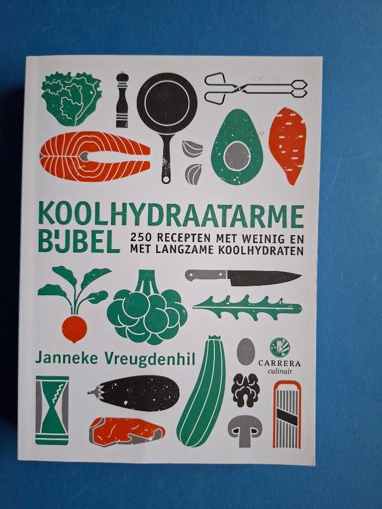 Koolhydraatarme bijbel - Janneke Vreugdenhil, Boeken, Kookboeken, Zo goed als nieuw, Verzenden