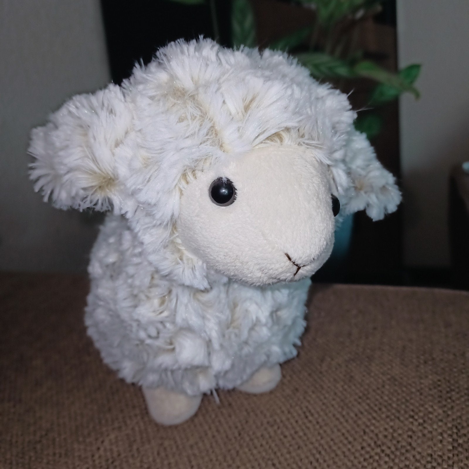 Take me home schaap knuffel., Overige merken, Overige typen, Ophalen of Verzenden, Zo goed als nieuw