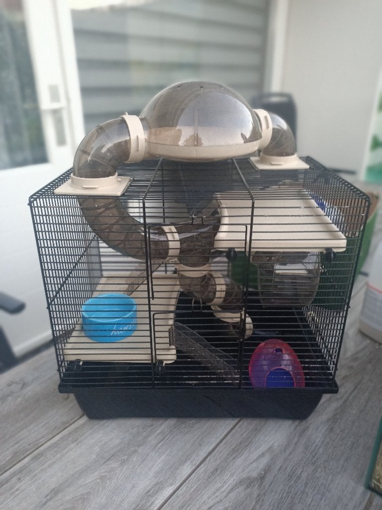 Hamsterkooi compleet, Minder dan 60 cm, Kooi, Gebruikt, Minder dan 75 cm