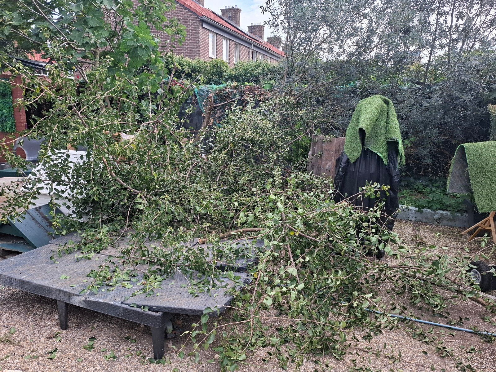 Gratis gesnoeide appelboom, 6 m³ of meer, Ophalen, Overige houtsoorten, Takken