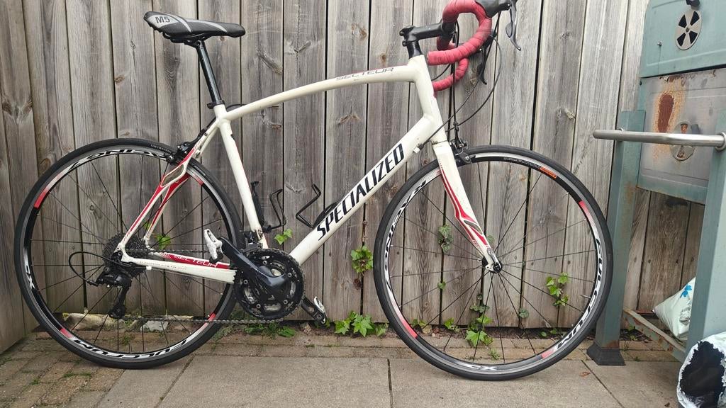 Specialized Secteur 61 cm Wit, Ophalen of Verzenden