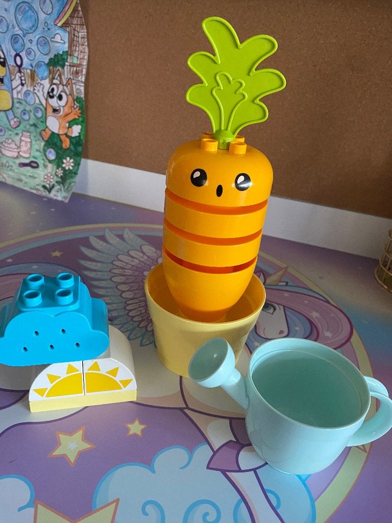 Duplo, Ophalen, Overige thema's, Zo goed als nieuw, Duplo