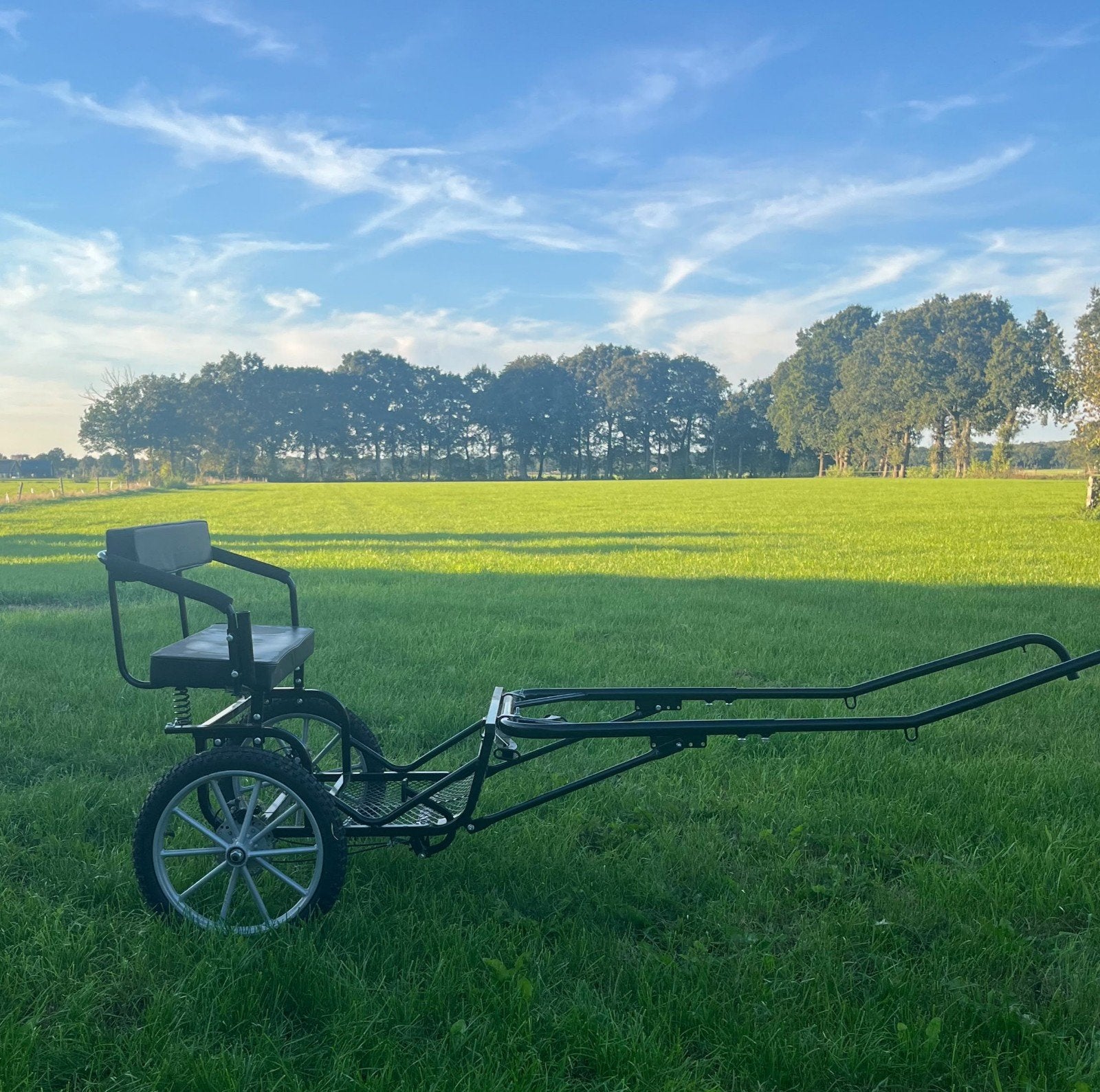 Sulky Cavalettie voor shetlander, Dieren en Toebehoren, Pony