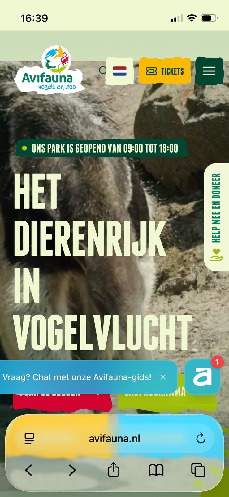 🧡🧡 4 kaarten voor Avifauna tot 2nov geldig, Tickets en Kaartjes, Drie personen of meer