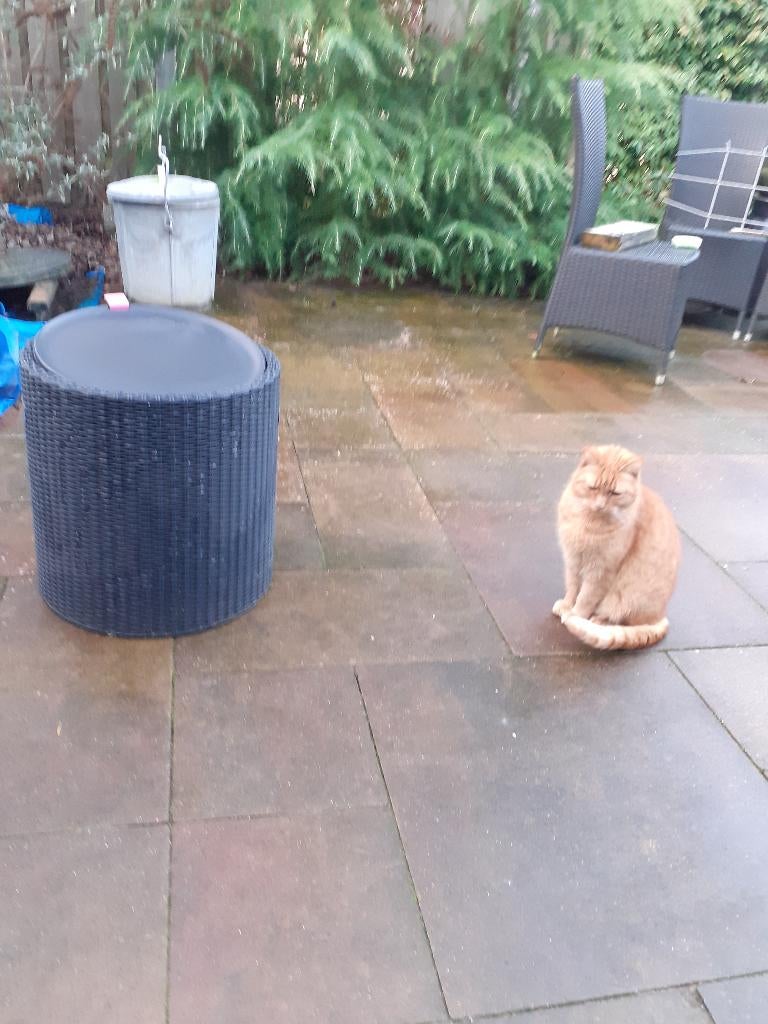 koel box, Ophalen of Verzenden, Nieuw, Koelbox, Koelelement