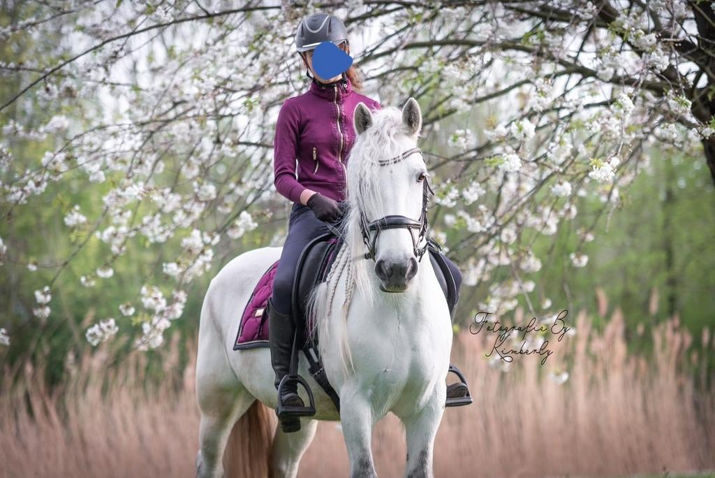 Inrijden/doorrijden van uw paard, Ophalen of Verzenden, Zo goed als nieuw, Paarden of Pony's