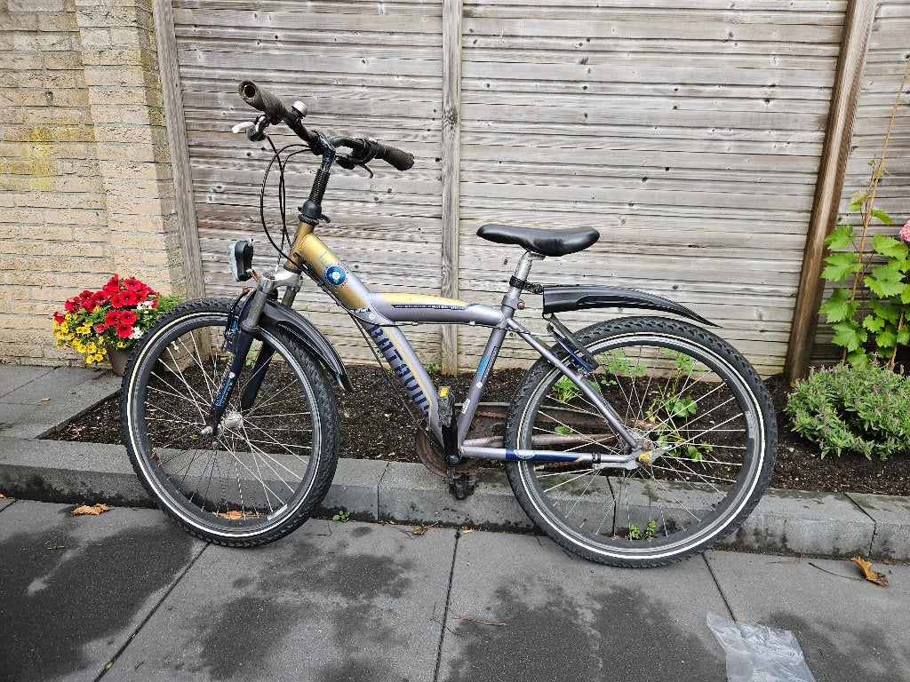Batavus snake 24 inch, Fietsen en Brommers, Ophalen, Terugtraprem, Versnellingen, Batavus