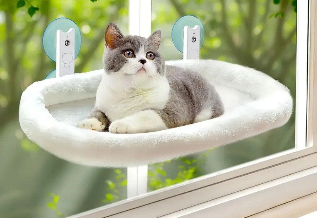Kattenhangmat voor op het raam! Splinternieuw, Ophalen of Verzenden, Nieuw
