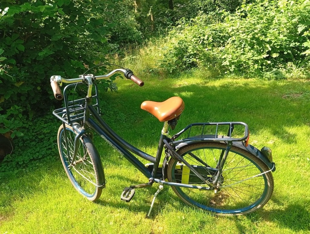 2 Meisjes fietsen 26 inch, Ophalen, Gebruikt, 16 inch