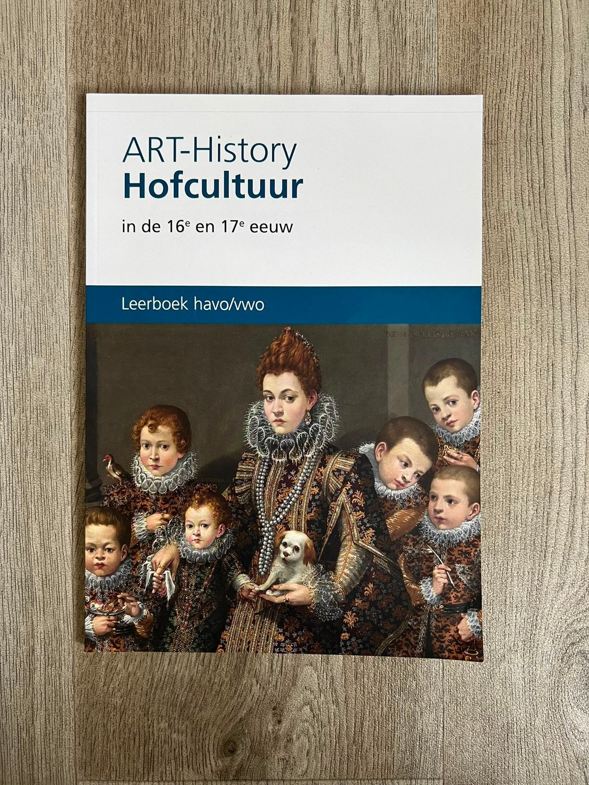 Art-history lesboek, Ophalen of Verzenden, Zo goed als nieuw
