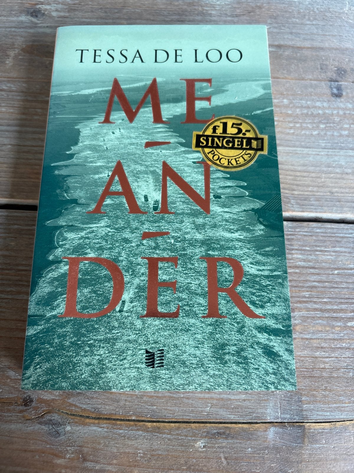 Meander - Tessa de Loo (Boek), Ophalen of Verzenden, Gelezen, Nederland