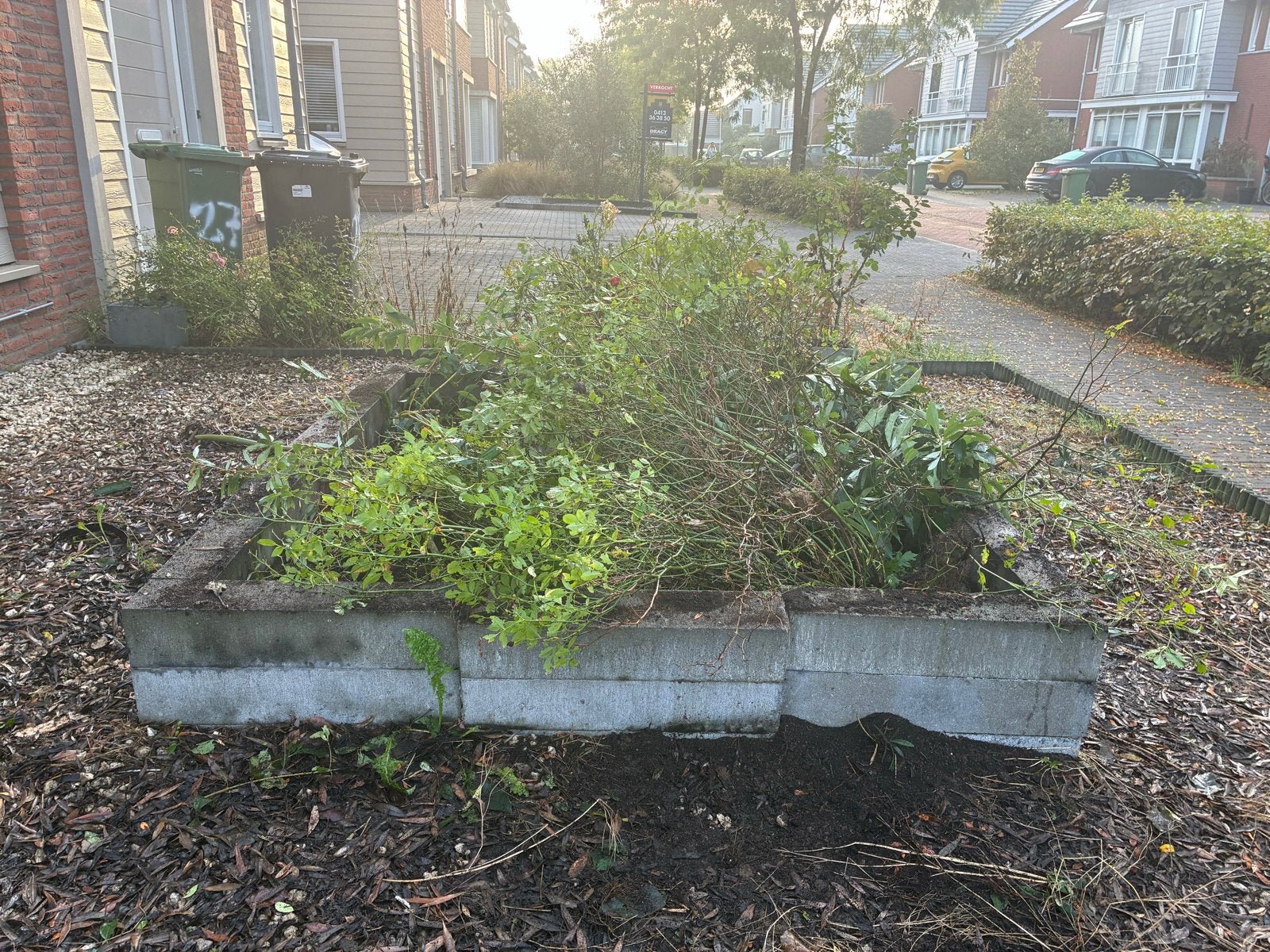 GRATIS 36 betonnen stapelstenen, Ophalen, Gebruikt, Border, Beton