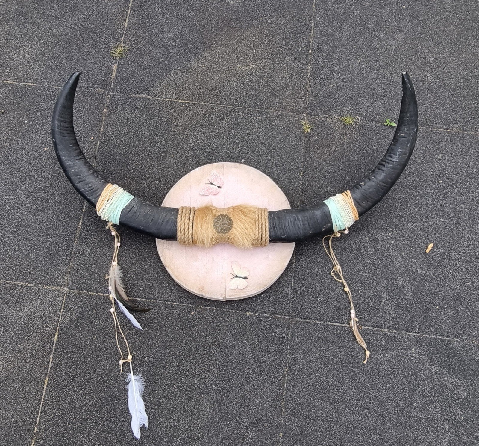 Longhorn wanddecoratie - Mooi afgewerkt, Ophalen of Verzenden