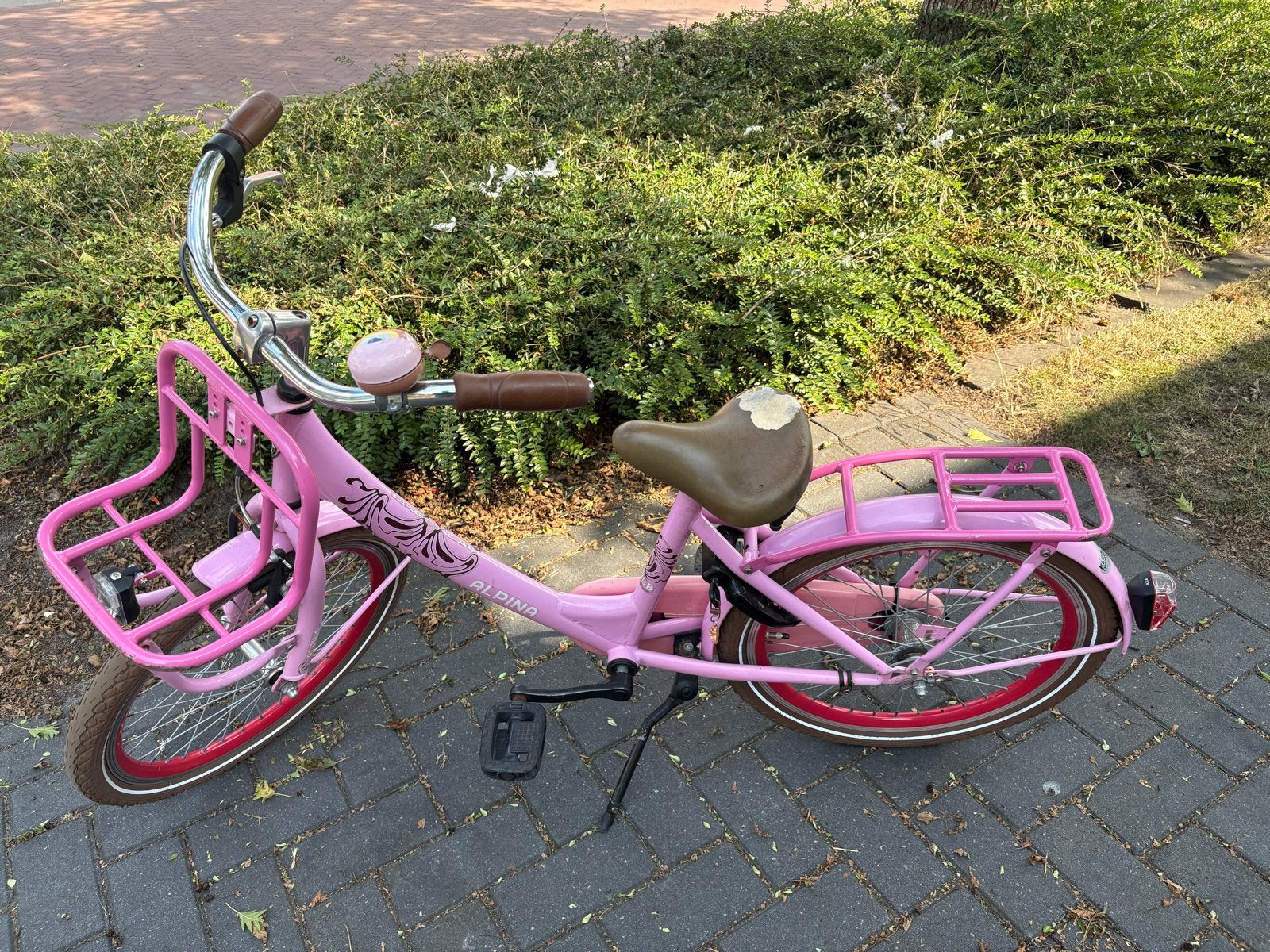 Alpina Meisjesfiets 20 inch - Opknapper, Ophalen, Gebruikt, 16 tot 20 inch
