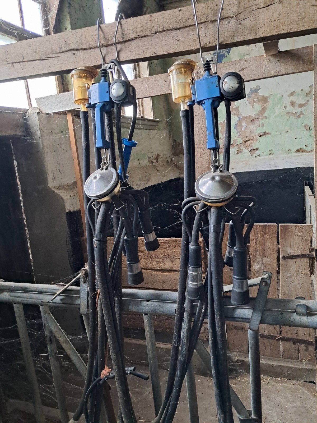 De Laval Melkinstallatie voor Grupstal, Ophalen, Veehouderij, Melktechniek
