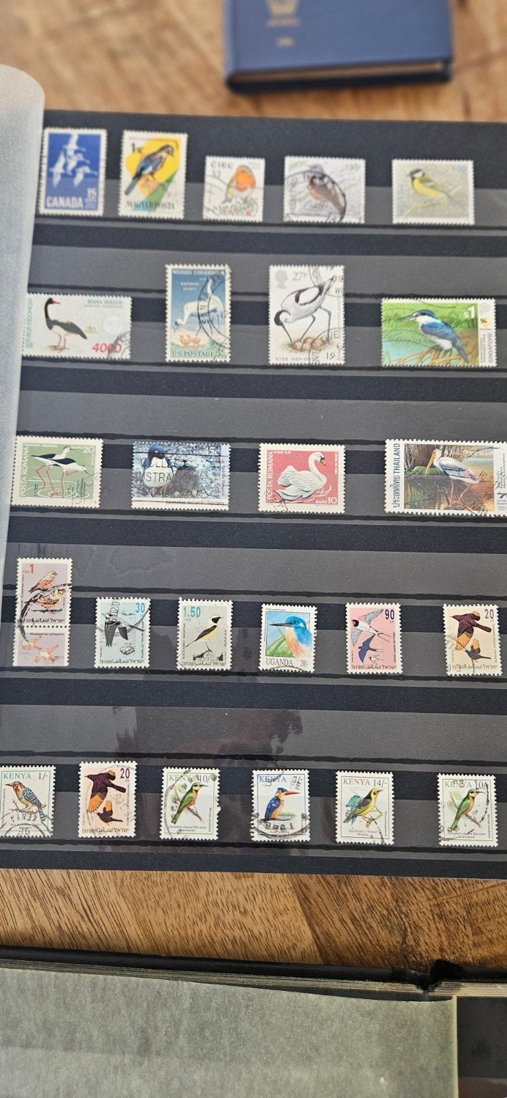 Grote postzegelverzameling - Nederland en Buitenland, Postzegels en Munten, Postzegels | Volle albums en Verzamelingen, Ophalen