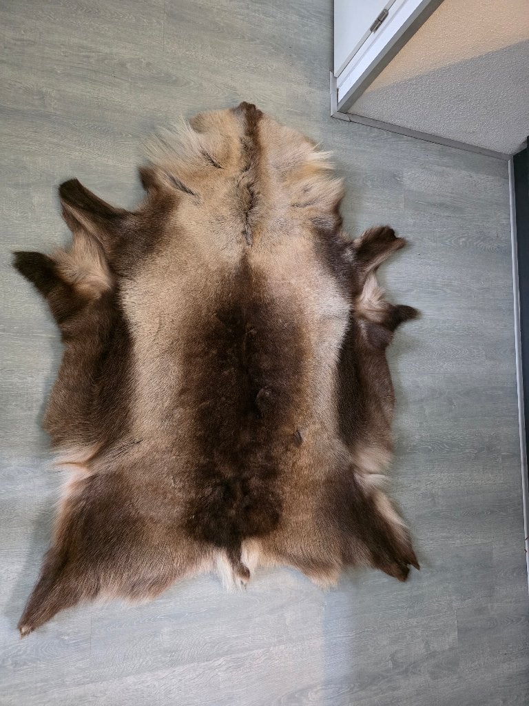 Rendier vacht XL, Ophalen, Zo goed als nieuw, Overige materialen, Overige typen