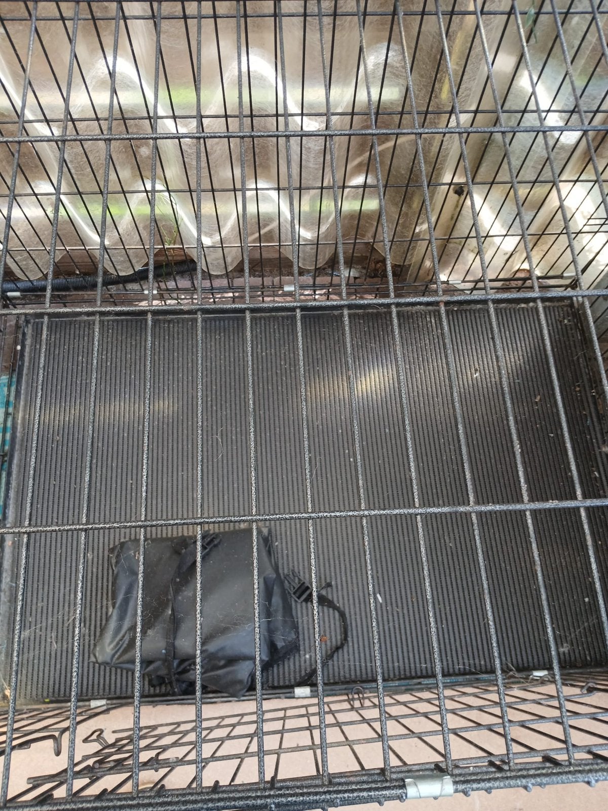 Honden ren, Ophalen, Zo goed als nieuw, 110 cm of meer, 100 cm of meer
