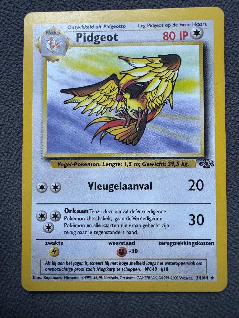 Pidgeot Jungle 24/64, Ophalen of Verzenden, Zo goed als nieuw, Losse kaart