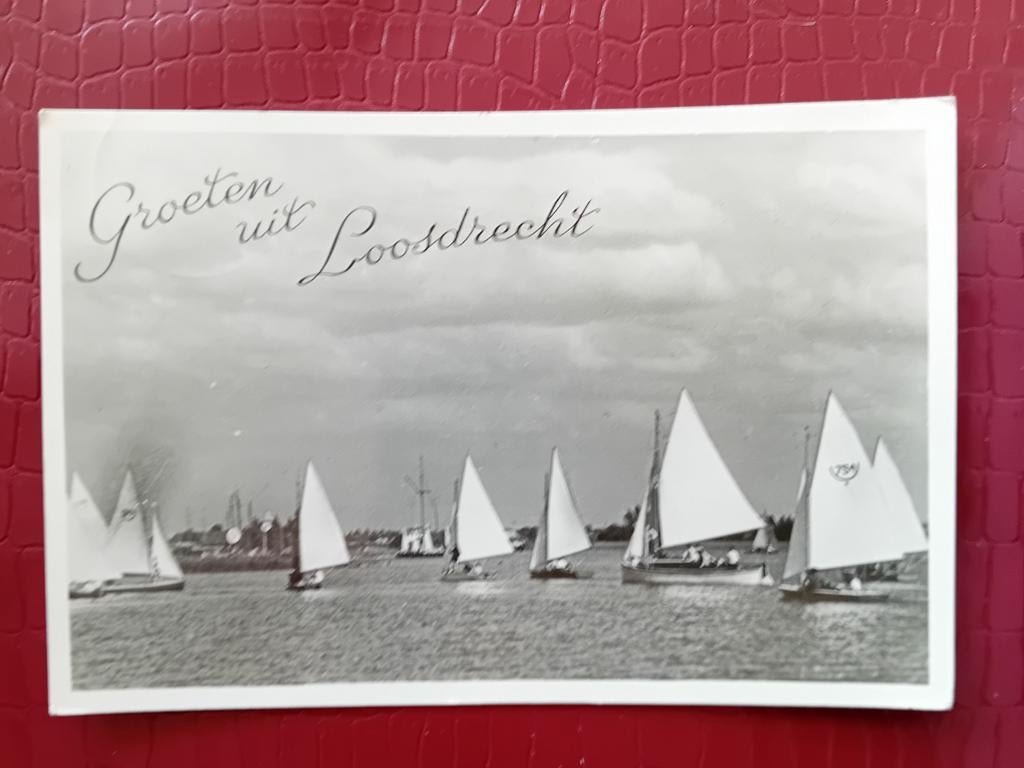 Ansichtkaart Loosdrecht, Ophalen of Verzenden, Noord-Holland