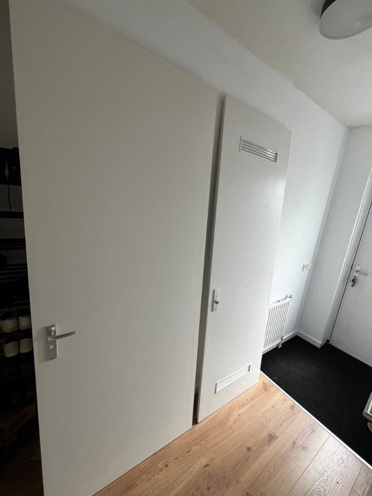Badkamer deur, Ophalen, Gebruikt, 80 tot 100 cm, 215 cm of meer