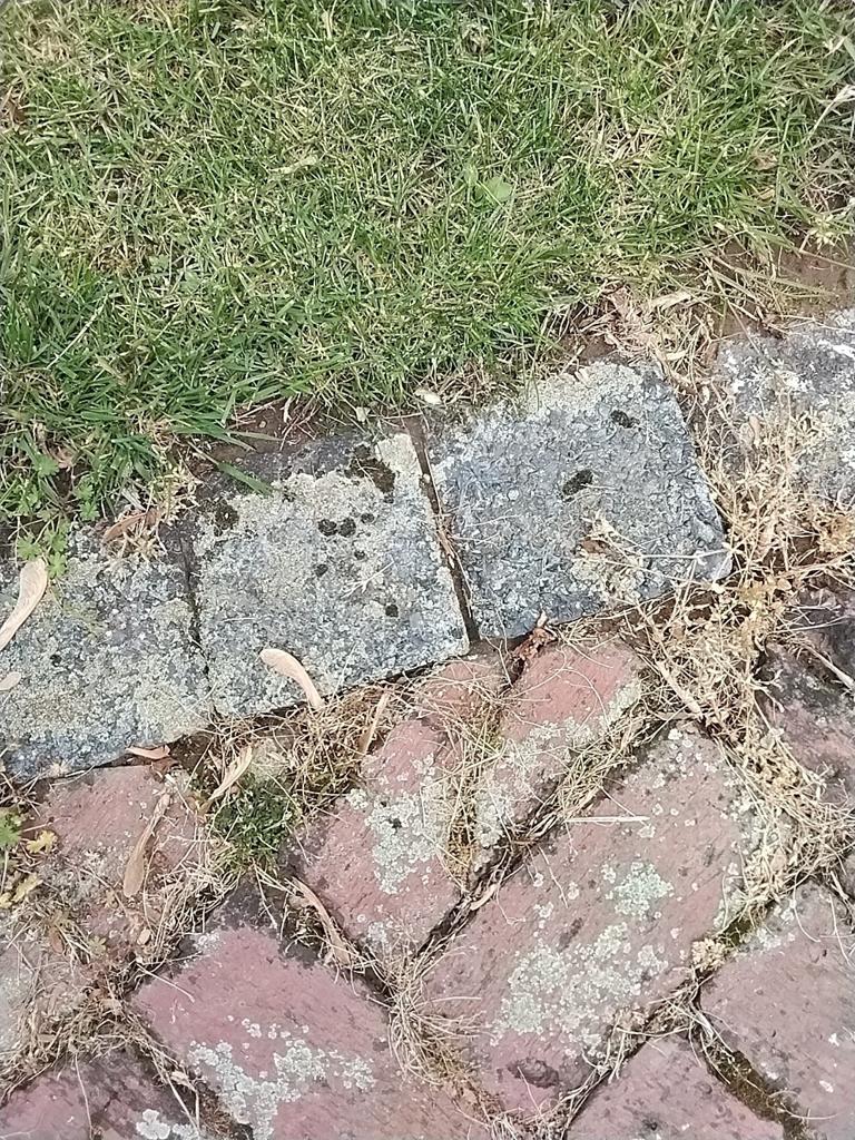 Gebruikte terrastegels en klinkers, Tuin en Terras, Tegels en Klinkers, Ophalen, Overige materialen, Gebruikt, Klinkers