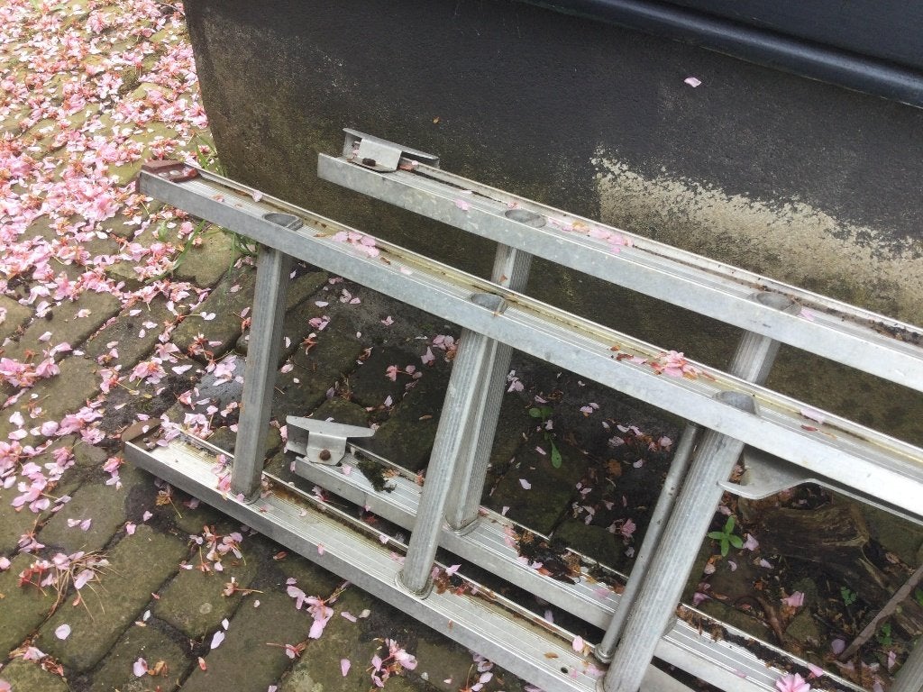 Ladder, Doe-het-zelf en Verbouw, Ladders en Trappen, Ophalen, Gebruikt, Ladder, Opvouwbaar of Inschuifbaar