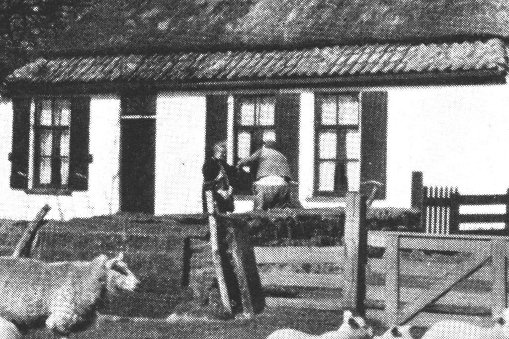 968630 Texel 1952 Boerderij Schilderweg bij Den Burg Gelopen, Ophalen of Verzenden, 1940 tot 1960, Gelopen, Waddeneilanden
