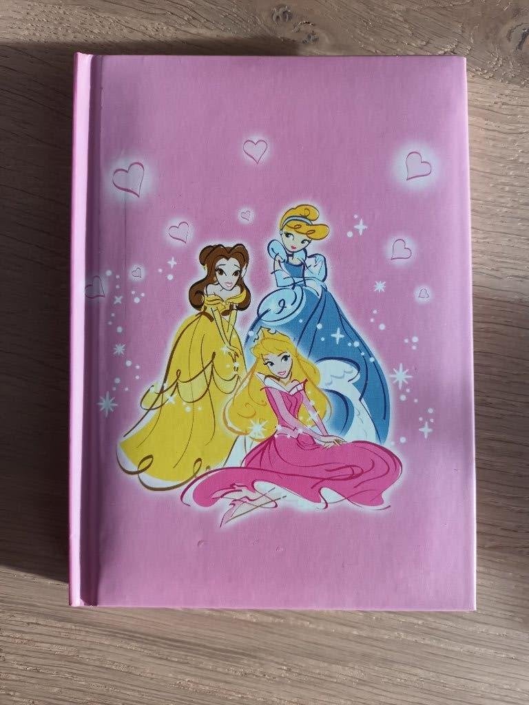 Disney Princess notitieboekje schrift lijntjes prinsessen, Ophalen of Verzenden, Zo goed als nieuw
